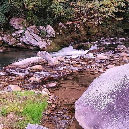 Riverside Retreat 호텔 헨더슨빌 외부 사진