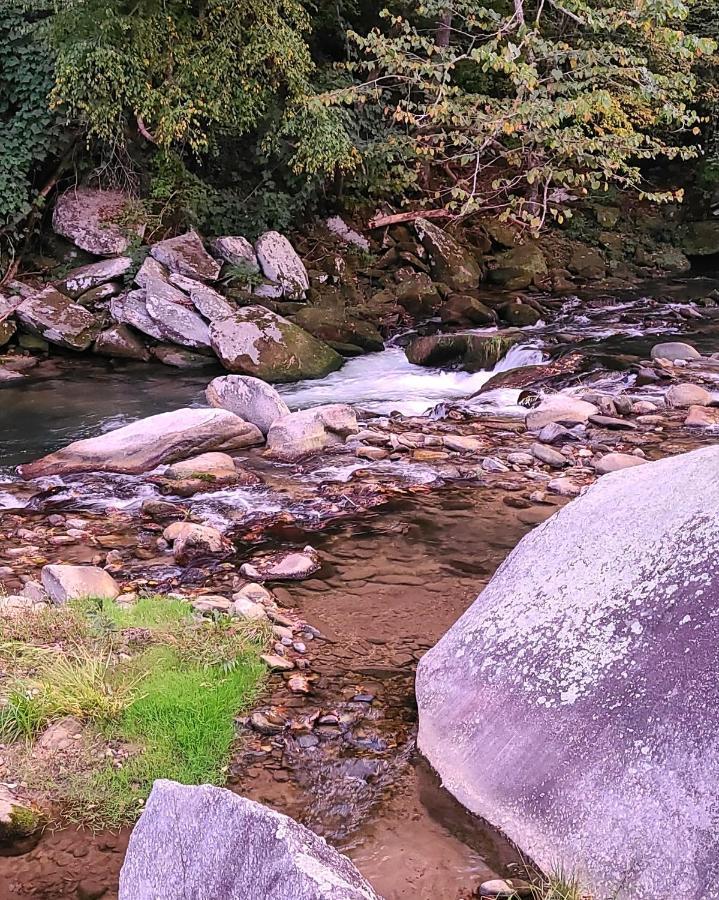 Riverside Retreat 호텔 헨더슨빌 외부 사진
